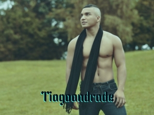 Tiagoandrade