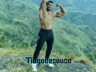 Tiagodesousa