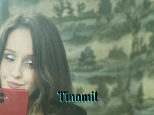 Tinamit
