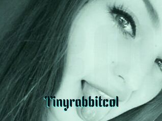 Tinyrabbitcol