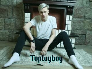 Toptoyboy