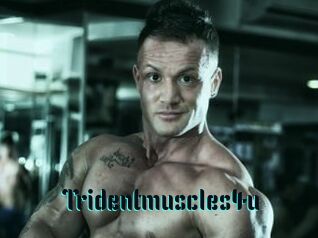 Tridentmuscles4u