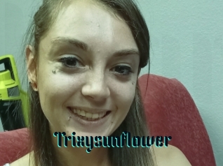 Trixysunflower