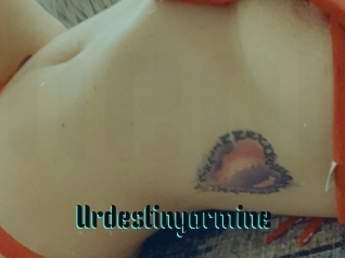 Urdestinyormine