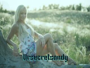 Ursecretsandy