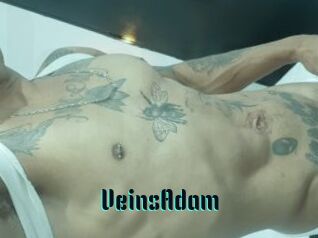 VeinsAdam
