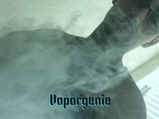 Vapor_genie