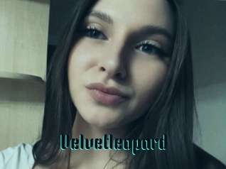 Velvetleopard