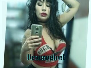 Venusvelvet