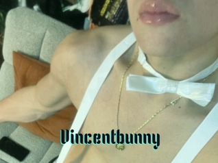 Vincentbunny