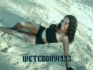 WETEBONY1993