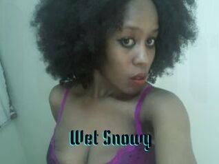 Wet_Snowy