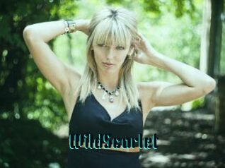 WildScarlet