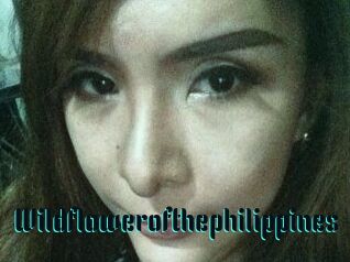 Wildflowerofthephilippines