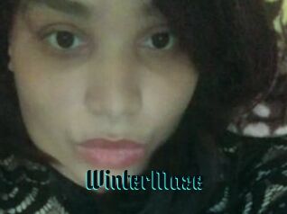 Winter_Maze