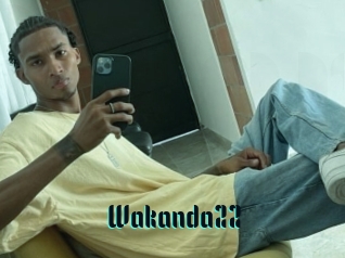 Wakanda22