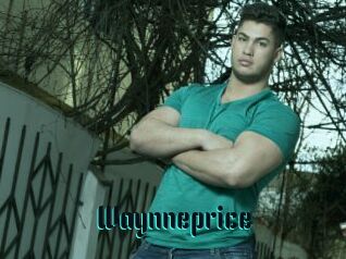 Waynneprice
