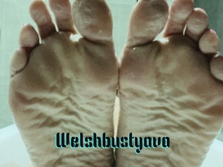 Welshbustyava