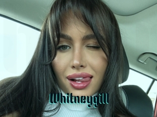 Whitneygill