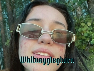 Whitneygleghorn