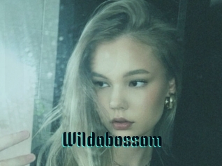 Wildabossom