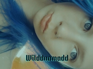Wilddnomadd