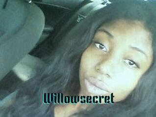 Willow_secret