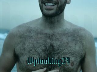 Wplooking37