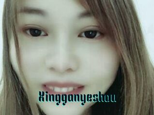 Xingganyeshou