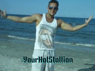 YourHotStallion