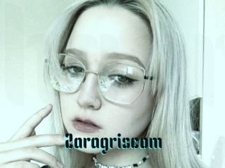 Zaragriscom